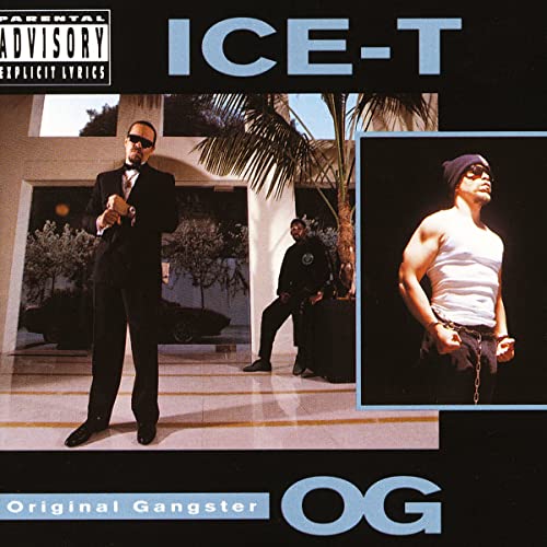 Ice T - Home Of The Body Bag